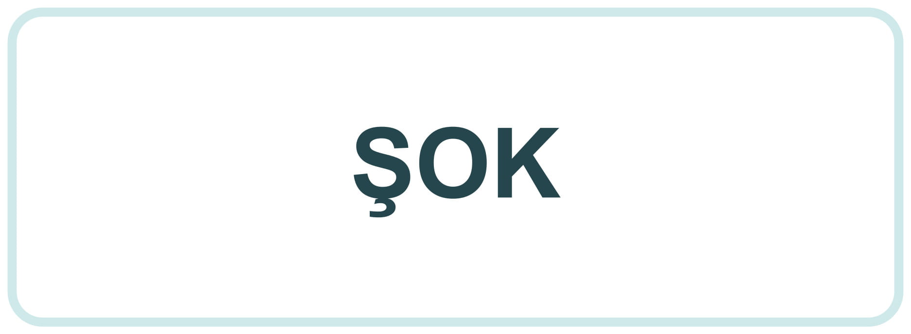 ŞOK referans logo alanı